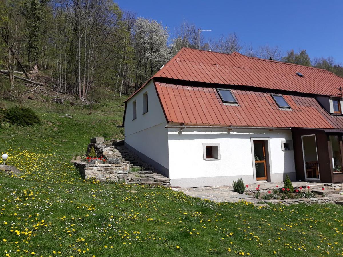 Pokoje Goscinne Thank You Life, Apartament 2 Forest For Rest Быстшица-Клодзкая Экстерьер фото
