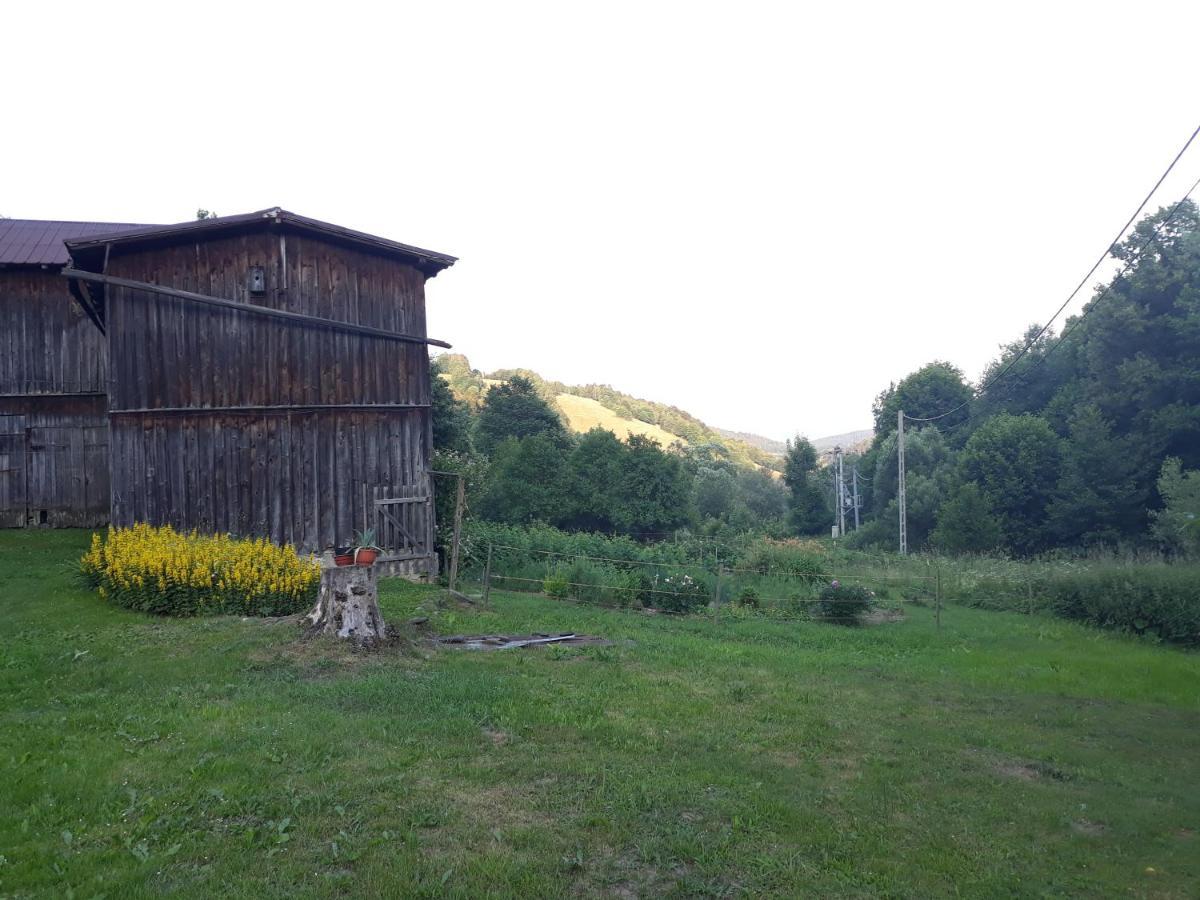 Pokoje Goscinne Thank You Life, Apartament 2 Forest For Rest Быстшица-Клодзкая Экстерьер фото